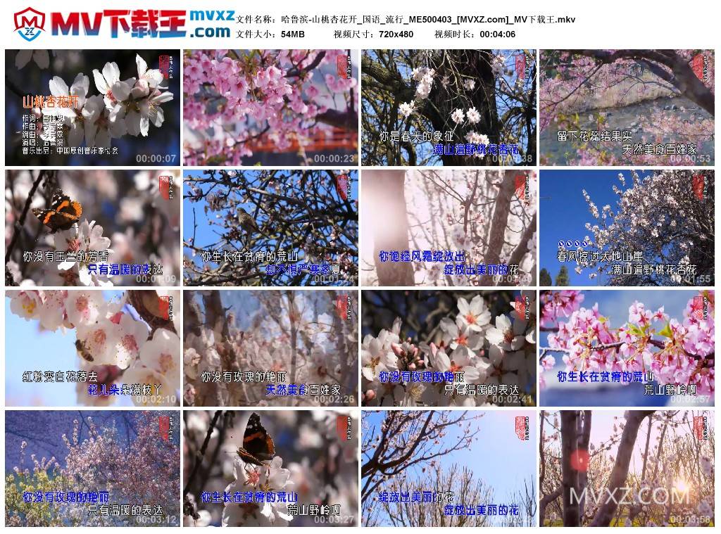 哈鲁滨-山桃杏花开_国语_流行_ME500403